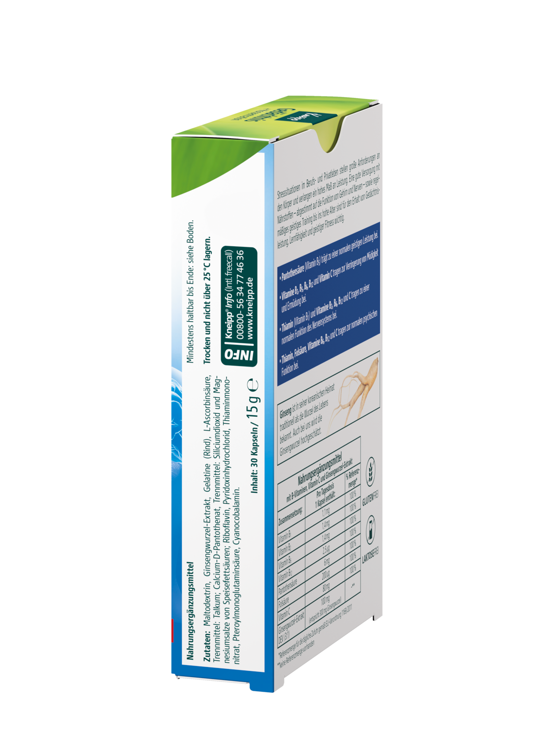 Ged&auml;chtnis + Konzentration - Linke Ansicht