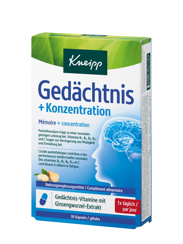 Gedächtnis + Konzentration