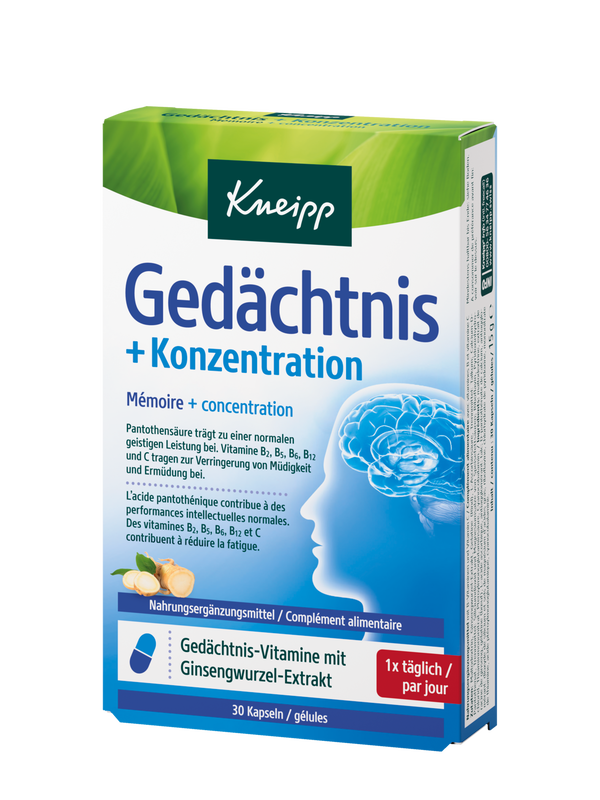 Ged&auml;chtnis + Konzentration