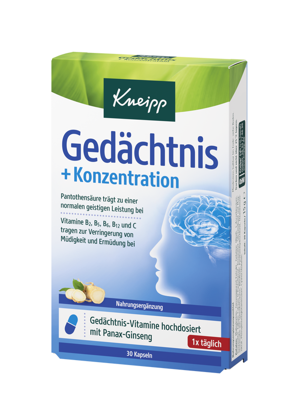 Ged&auml;chtnis + Konzentration
