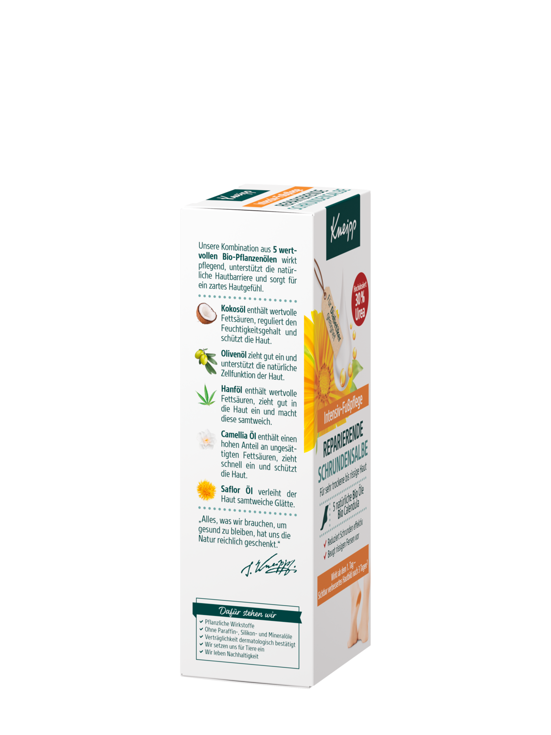 Reparierende Schrundensalbe - Rechte Ansicht