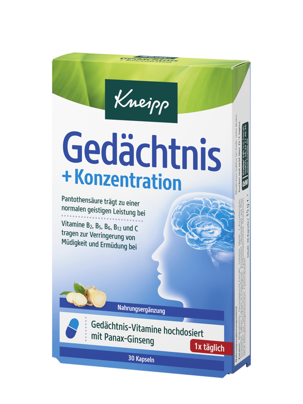 Ged&auml;chtnis + Konzentration