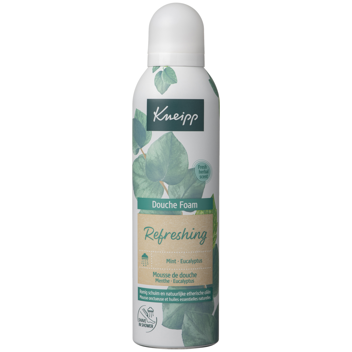 Schaum-Dusche Refreshing - Vorderansicht