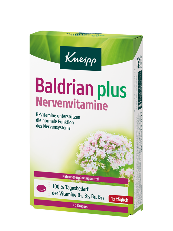 Baldrian plus Nervenvitamine 