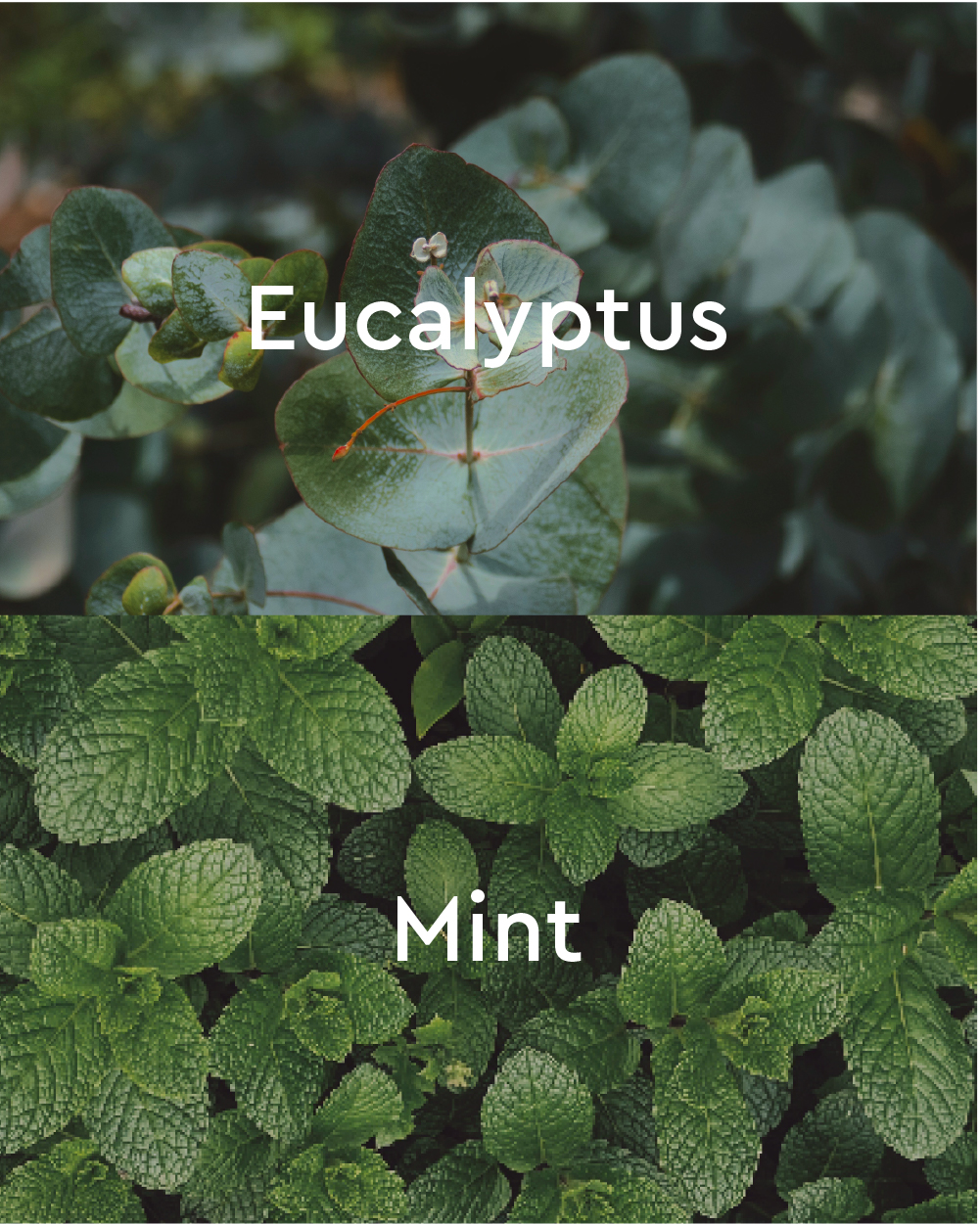 Under the Weather Eucalyptus Aromatherapy Bubble Bath - Right view