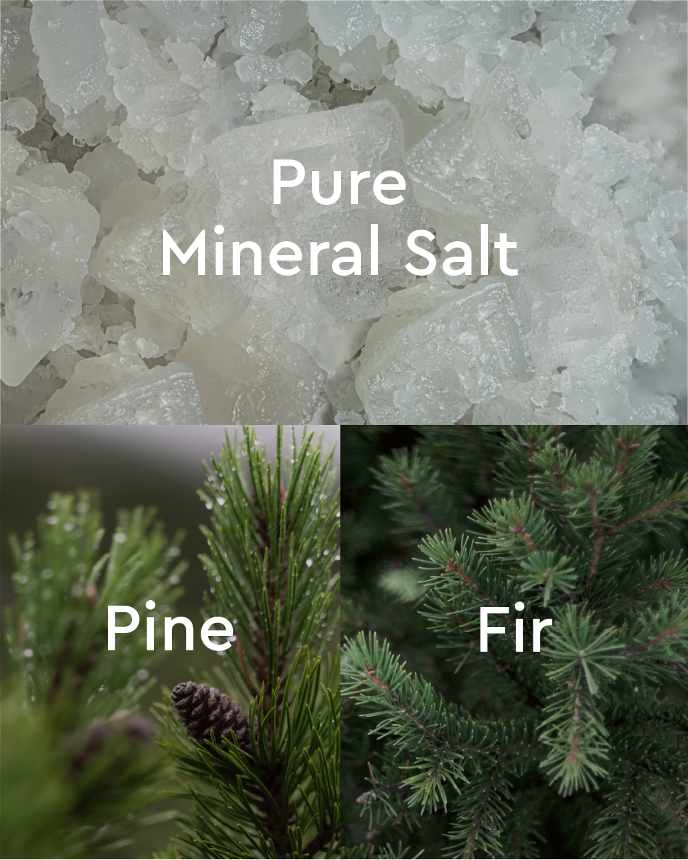 Forest Ritual Pine & Fir Mineral Bath Salt  - Left view