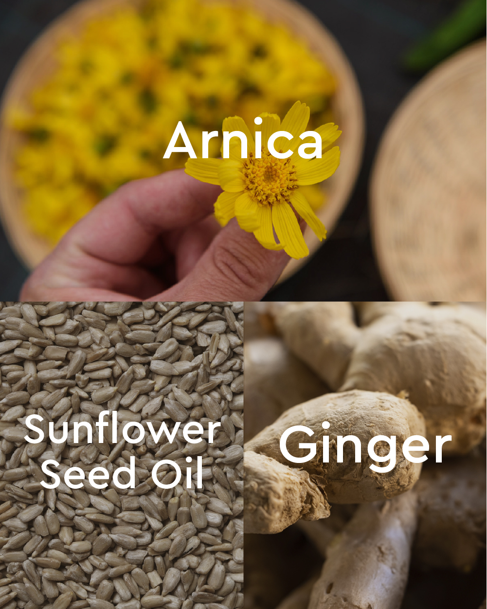 Joint & Muscle Arnica Massage Oil - Left view