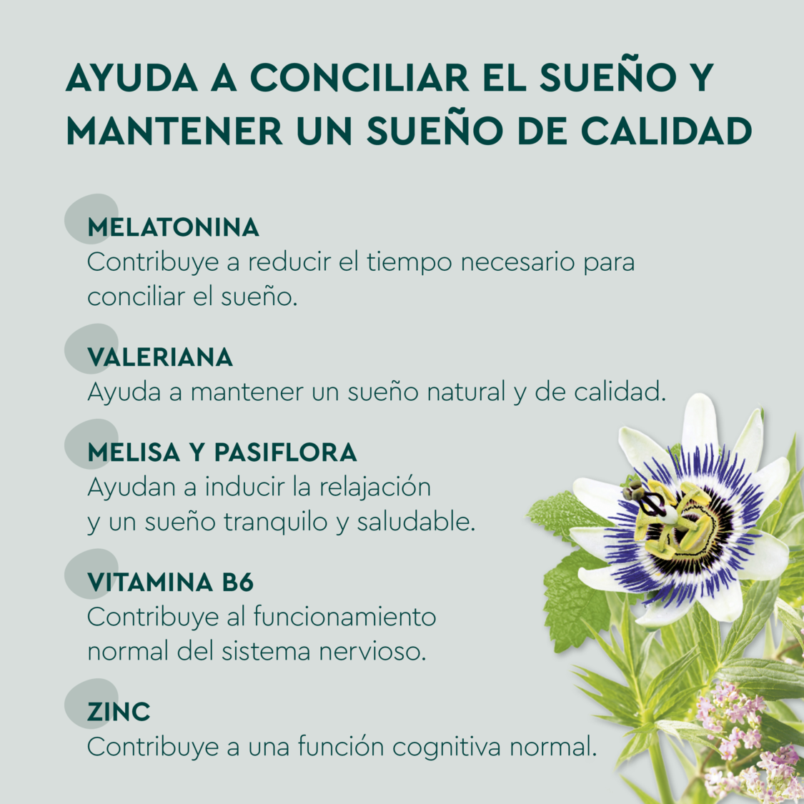 Sue&ntilde;o Complet - product.imageview.additional-1