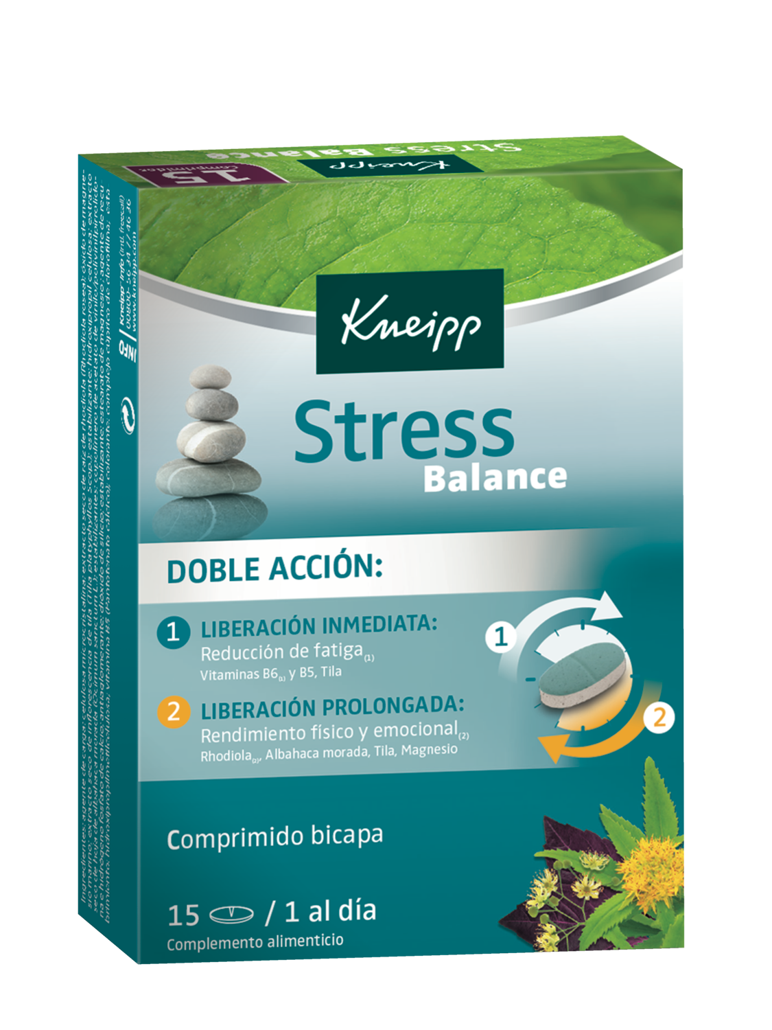 Stress Balance