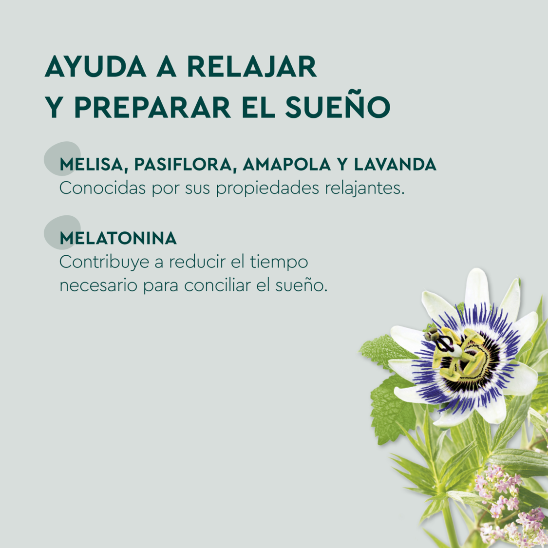 Kneipp&reg; Infusi&oacute;n Buenas Noches Forte + Melatonina - product.imageview.additional-1