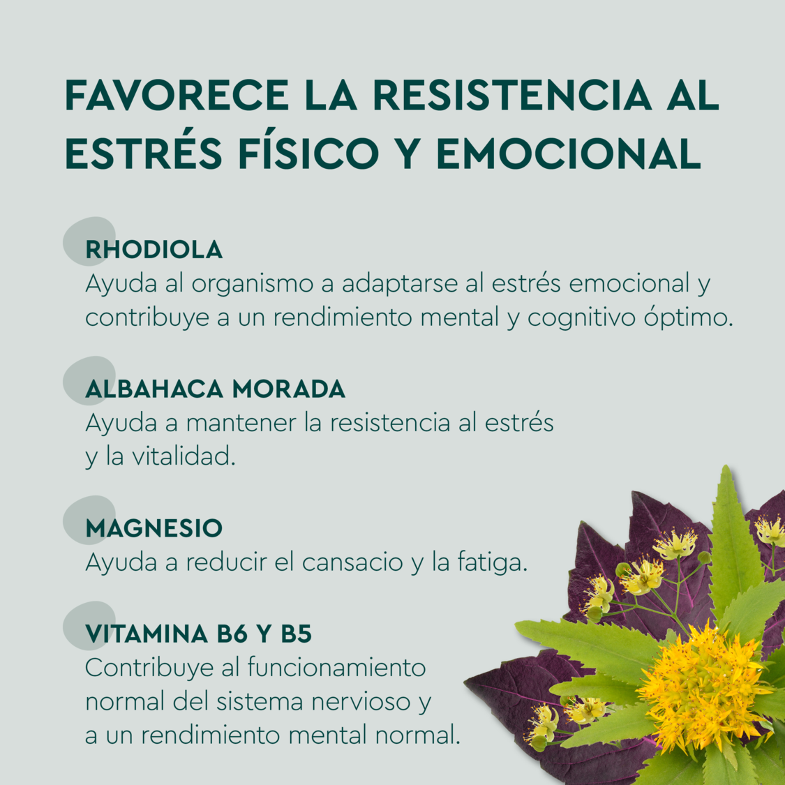 Stress Balance 30 - product.imageview.additional-1