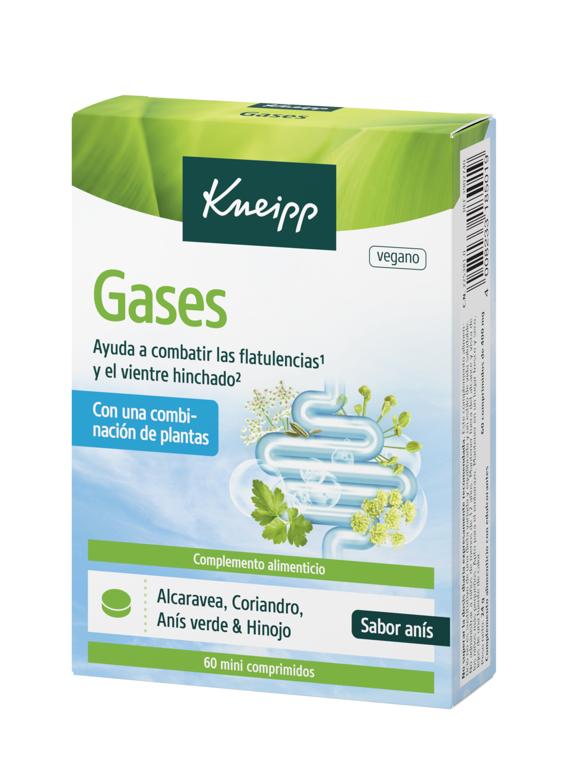 Kneipp Gases - Vista frontal