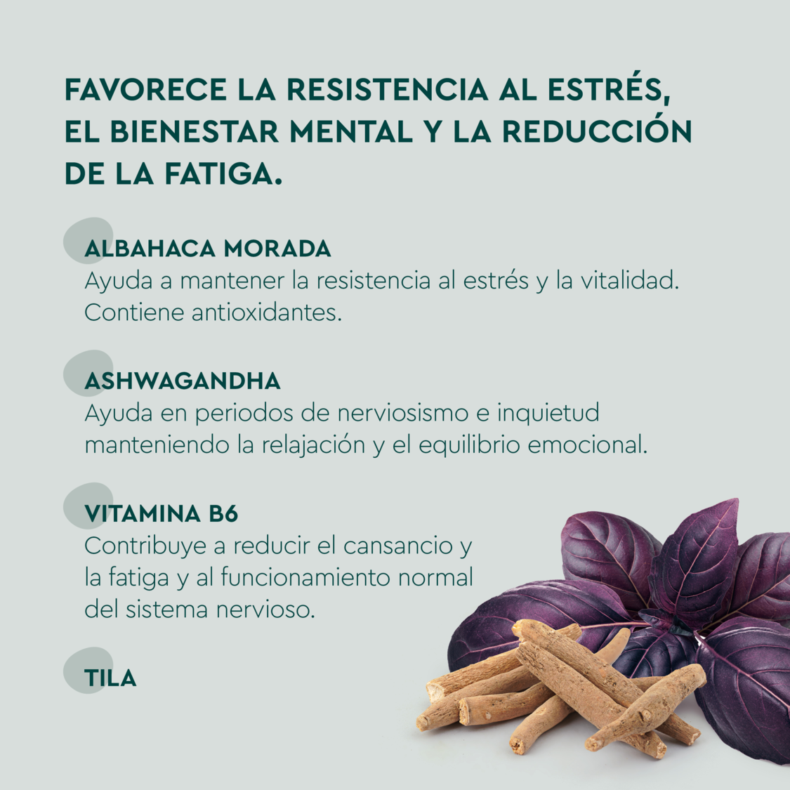 Estr&eacute;s Gummies - product.imageview.additional-1