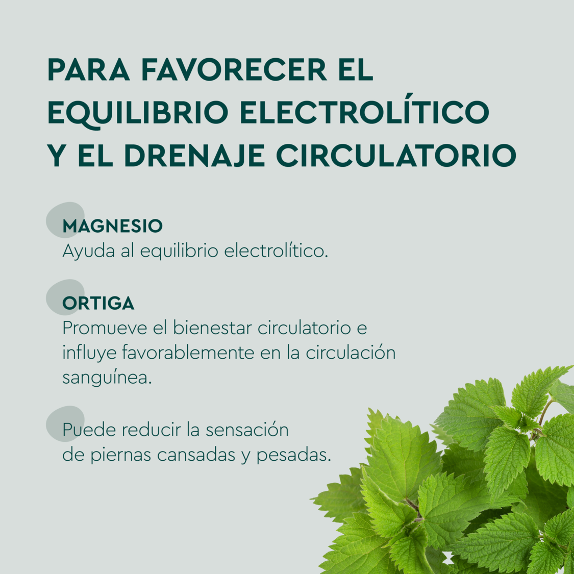 Drenante - product.imageview.additional-1