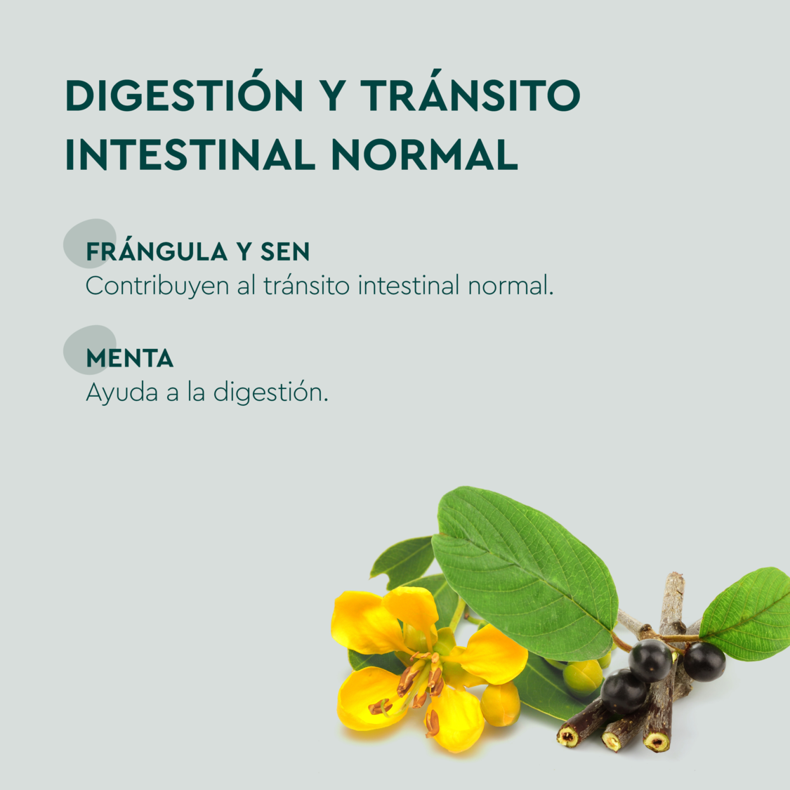 Kneipp&reg; DelgaT&eacute; - product.imageview.additional-1
