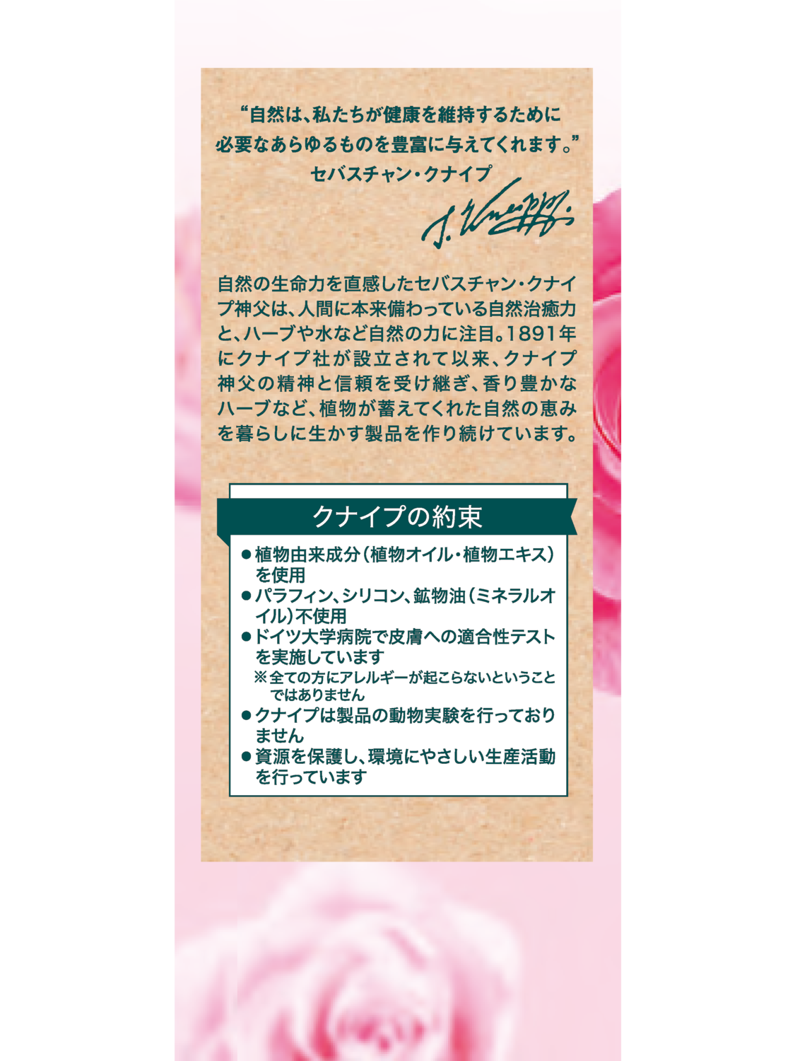 クナイプビオ オイル ローズ 20mL - 右側ビュー