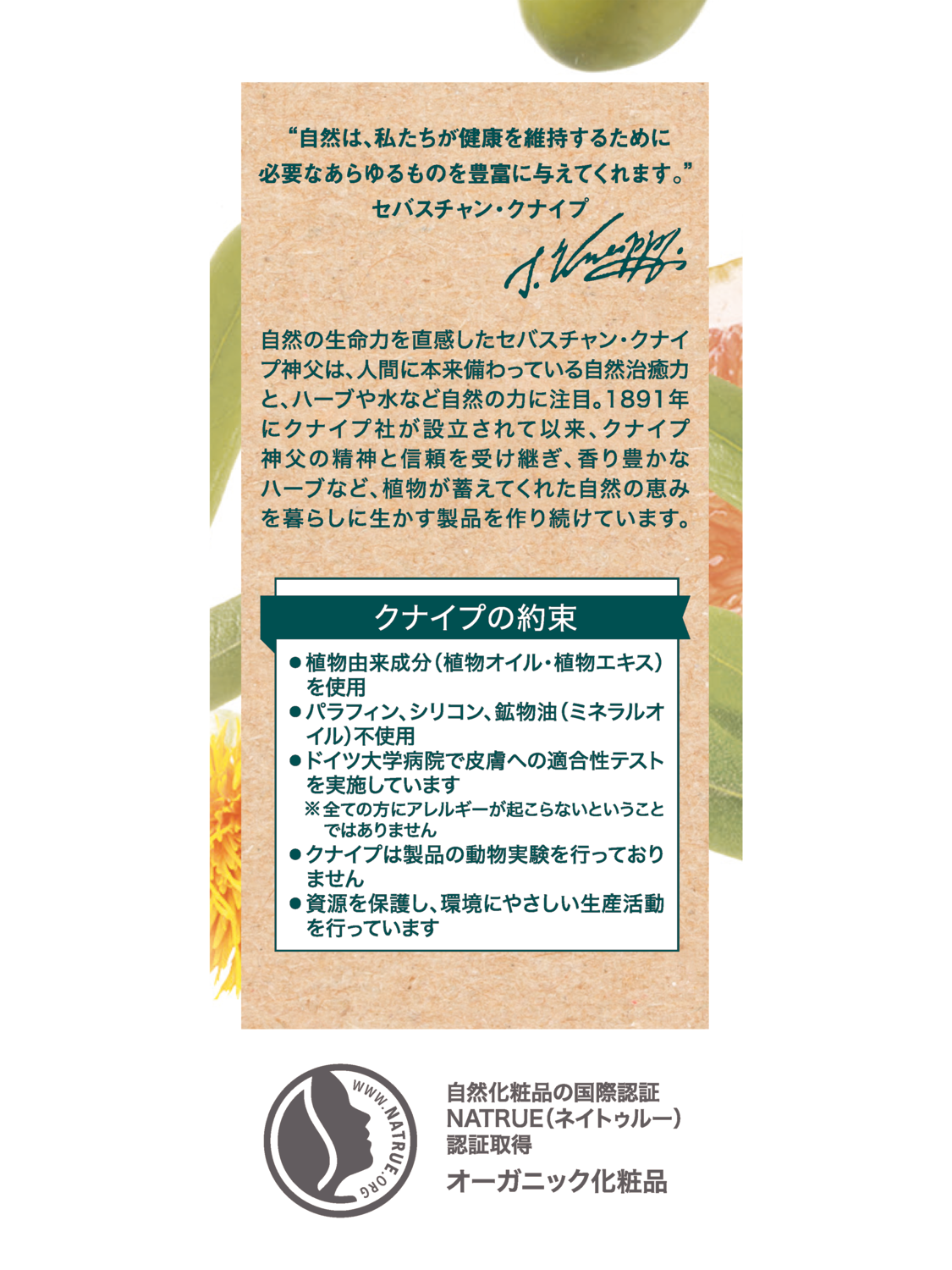 クナイプビオ オイル 20mL - 右側ビュー