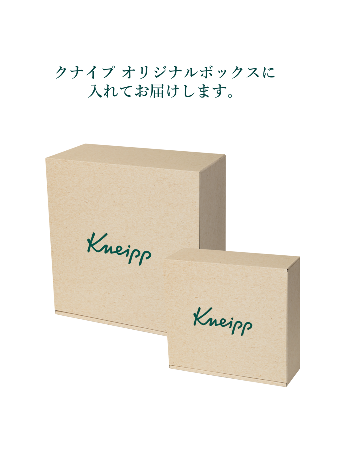 スペシャルボディケア ギフトセット | Kneipp
