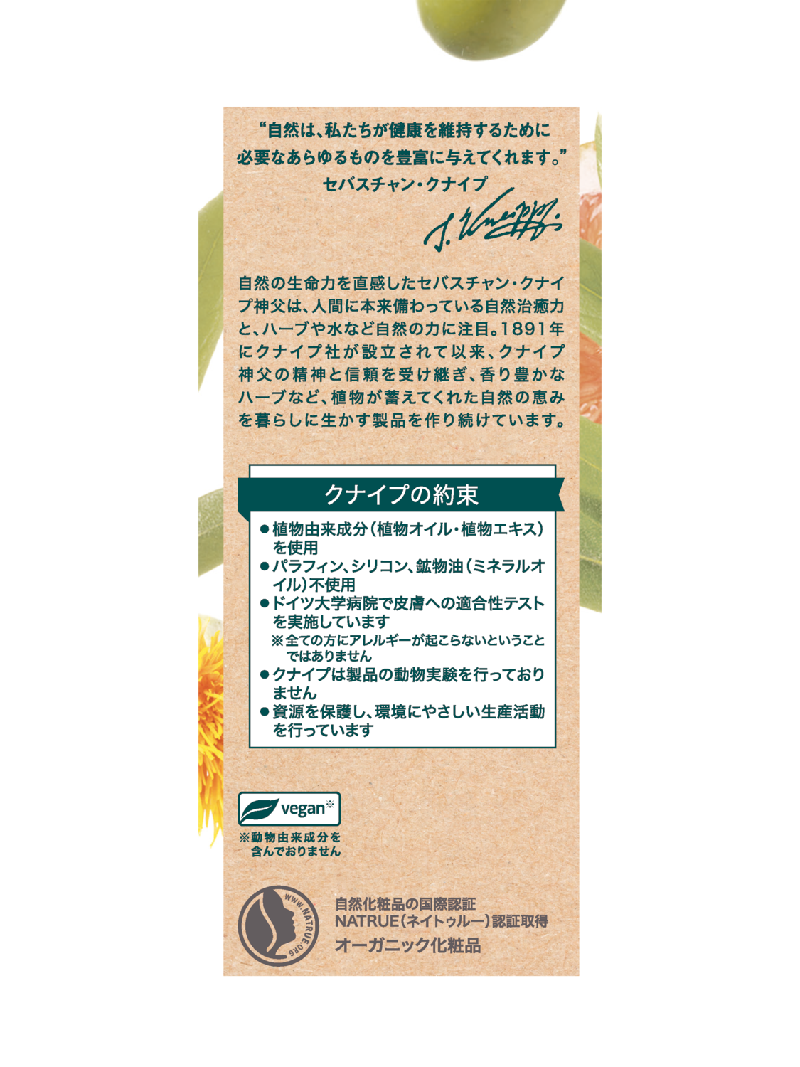 クナイプビオ オイル 100mL - 右側ビュー