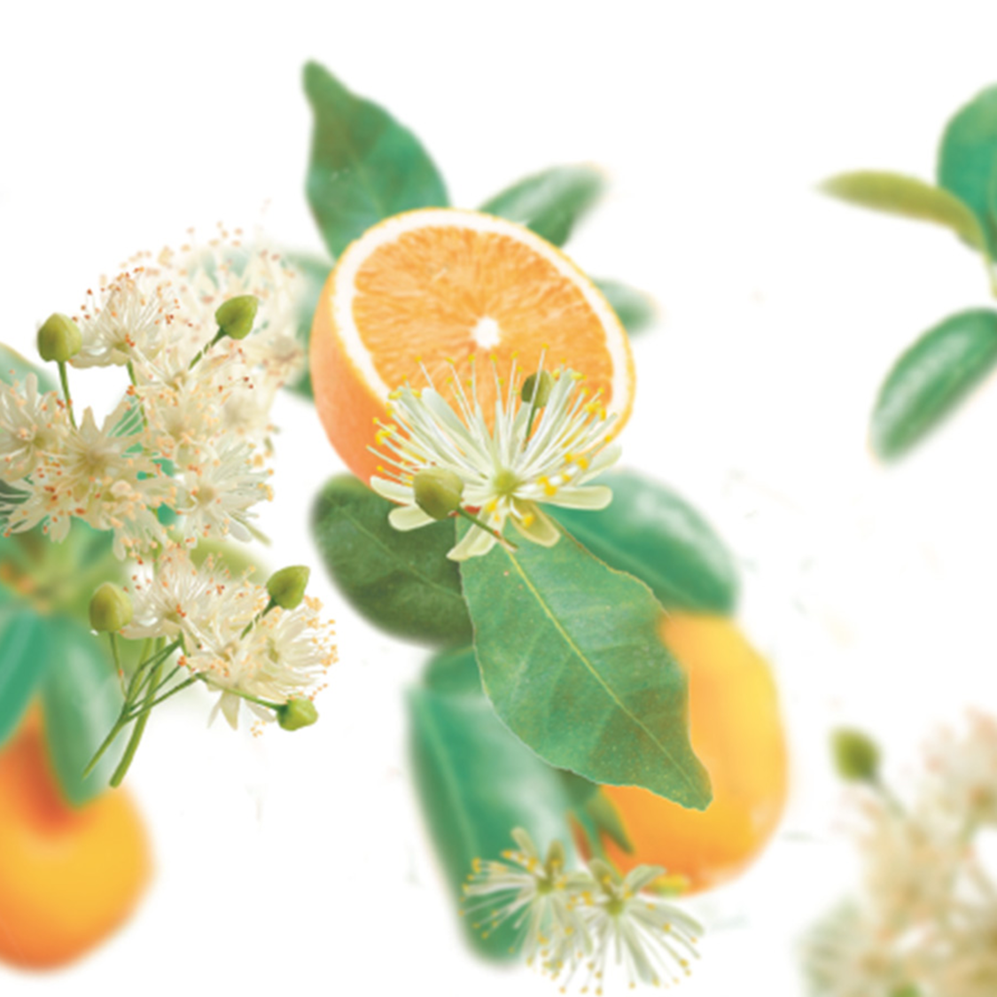 Badolie Pure Harmony - Rechterzijaanzicht