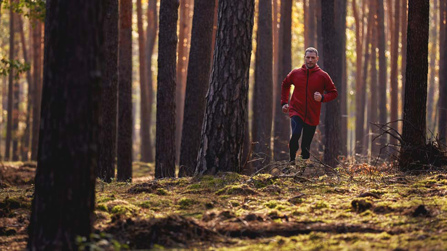 Imagen para la categoría Consejos de automotivación