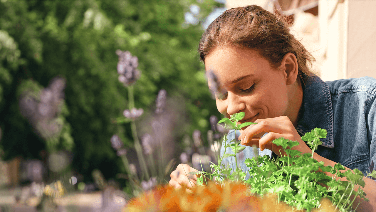 Imagen para la categoría Aprende nuevas recetas naturales y frescas para combatir el calor