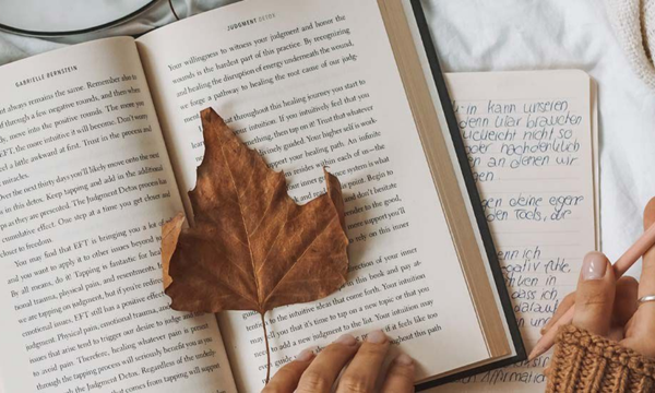 Afbeelding voor categorie Wat is journaling voor mindfulness
