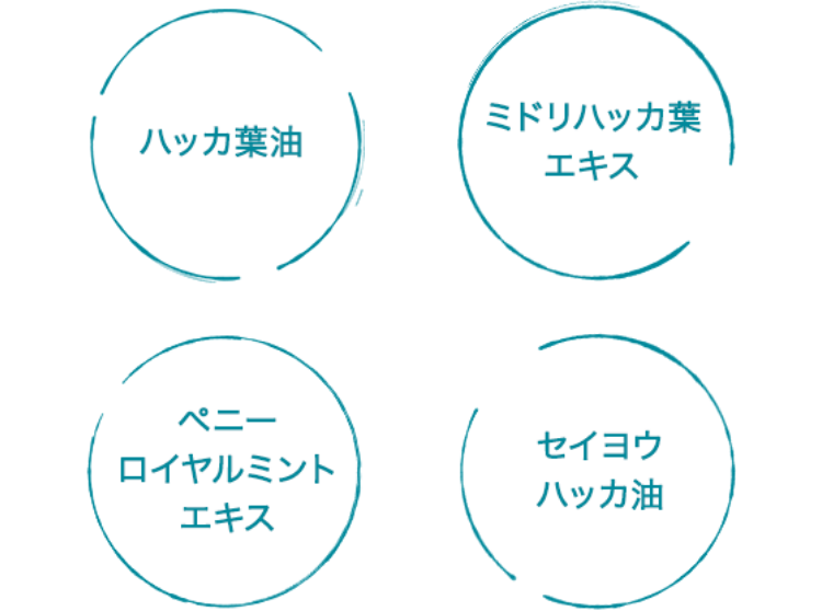 ハッカ葉油＋ミドリハッカ葉エキス＋ペニーロイヤルミントエキス＋セイヨウハッカ油
