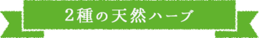2種の天然ハーブ