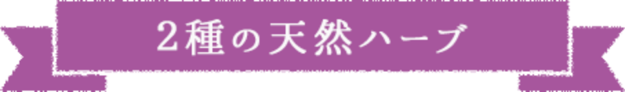 2種の天然ハーブ