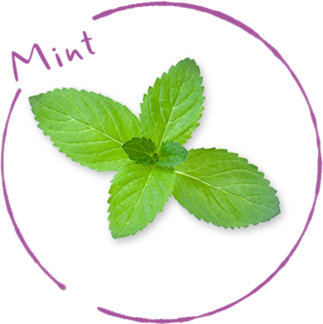 Mint