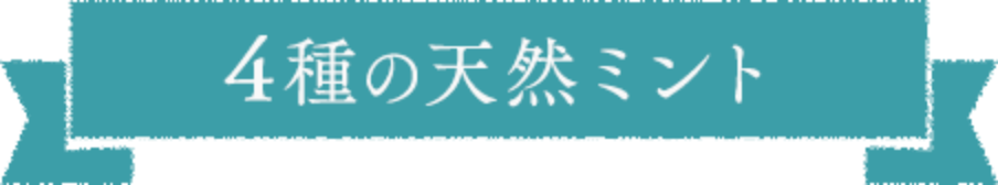 4種の天然ミント