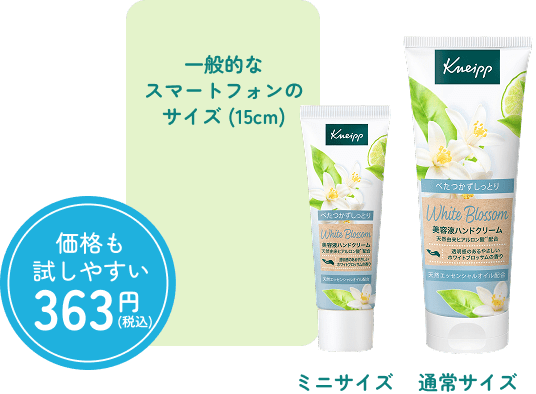 ミニサイズと通常サイズの比較。価格も試しやすい 363円（税込）