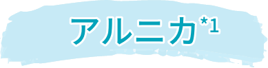 アルニカ