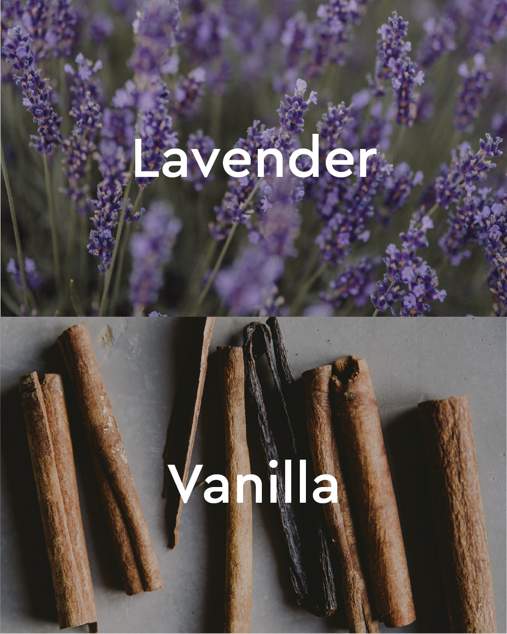 Lavender Vanilla Body Oil Blend